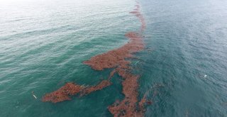Karadeniz Adeta İkiye Bölündü
