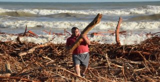 Ordu Sahili Kızıla Büründü