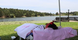 Yardım Meleği Als Hastası Özlem, 10 Yıl Sonra Tekrar Gölcük Tabiat Parkına Geldi