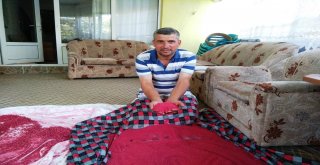 Çekirdekten Yetiştiriyor, Üretiyor, Satıyor