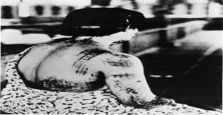 Tarihin Acı Yüzü: Hiroşima Ve Nagasaki