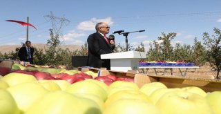Başkan Öztürk: “Yahyalıda Elma Üretimi Modernleşmeli”