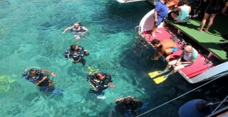 Turistlerin Yeni Gözdesi Su Altında Ekmekle Balık Beslemek
