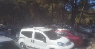 Kuşadası Milli Parkı Bayram Tatilinde Ziyaretçi Rekoru Kırdı