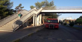 Adıyaman Belediyesi Üst Geçitleri Rutin Olarak Temizliyor