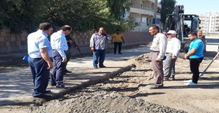 Başkan Vekili Işıktaş Parke Taşı Döşeme Çalışmalarını Denetledi