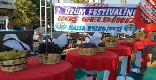 Hassa 2. Üzüm Festivali
