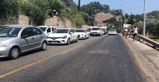 Plaja Ulaşmak İçinçin Kilometrelerce Uürüdüler