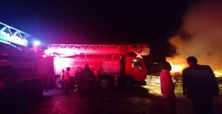 Boluda Odunluk Yangınında Kümes Hayvanları Telef Oldu