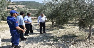 Doludan Etkilenen Tarım Arazileri İncelendi