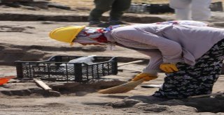 Anadolu Kadınları ‘Anadolunun Tarihini Gün Yüzüne Çıkarıyor