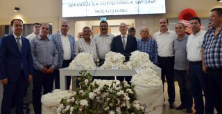 Adanada İlk Kütlü Pamuk Elektronik Borsada Alıcısını Buldu