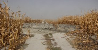 Obruk Sayısı Artıyor, Çevrede Hayat Devam Ediyor