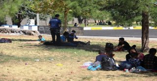 Göçmenleri İstanbul Ve Ankara Diye Diyarbakıra Getirdiler