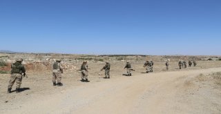 Kayıp Yusufu Arama Çalışmaları 10. Gününde