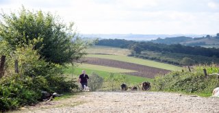 Kaynarca Okçulara Yeni İçme Suyu Şebekesi Yenilendi
