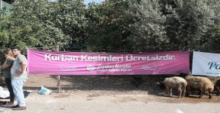 Seyhan Belediyesi Bayrama Hazır