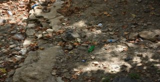 Maski, Vatandaşları Çevre İçin Duyarlı Olmaya Davet Etti