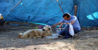 Yozgatta Kurbanlar Kesildi