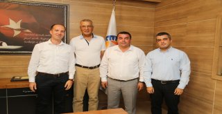 Mezitlide Şeftali Seferberliği Başladı