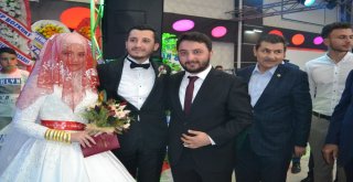 Milletvekili Eroğlu, Nikah Şahidi Oldu
