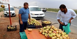 (Özel) Suruç Narı Tezgahlardaki Yerini Aldı