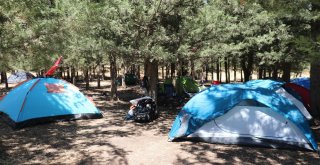 Hafta İçi İşe Gidiyorlar, Hafta Sonu Ormanda Kamp Yapıyorlar