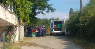 Mal Yüzünden Abisini Öldürdü, Sonra Canına Kıydı