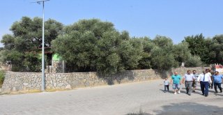 Başkan Alıcık, Bozyurtta İncelemelerde Bulundu