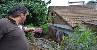 Orduda Selin 3. Günü