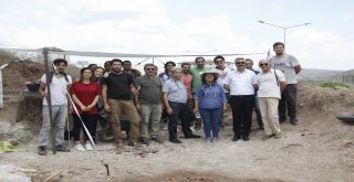 Çankırıda Omurgalı Fosil Kazıları Başladı