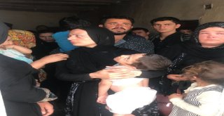 Vanda 299 Yabancı Uyruklu Kaçak Şahıs Yakalandı