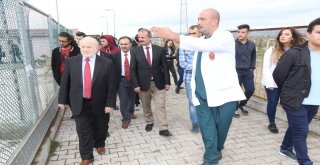 Hayvanseverler Barınağı Gezdi