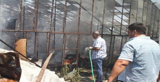 Hortumun Yetişmediği Yerleri Su Kovalarıyla Söndürdüler