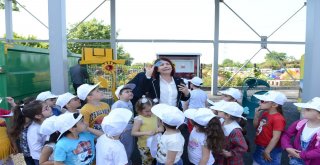 Toplanan 67 Bin Tok Atık Bin 139 Ağaca Hayat Oldu