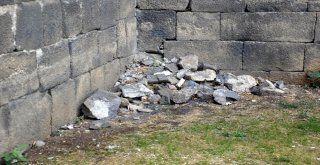 Tehlikeye Aldırış Etmeden Serinliyorlar