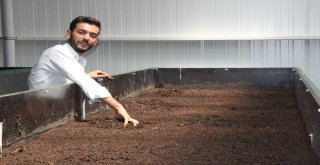 Solucan Sevgisi İş Sahibi Yaptı