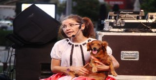 Çocuk Şenliğinde, Minikler Gönüllerince Eğlendi