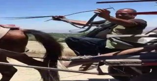 Keyfi Yerinde Olan Hurdacı Müziğin Ritmine Kapıldı