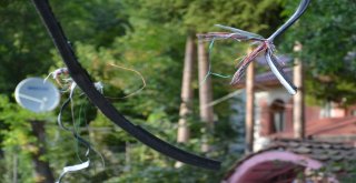 Telefon Telleri Kopunca Dünyayla İletişimleri Kesildi