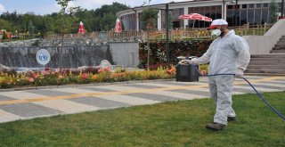 Bozüyükte Parklar Her Daim Yeşil