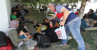 Vanda 145 Kaçak Mülteci Yakalandı