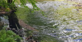 Dereye Resmi Araçla Kanalizasyon Atığı Dökülmesine Soruşturma