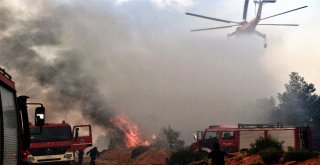 Yunanistandaki Yangın Felaketinde Ölü Sayısı 79A Yükseldi