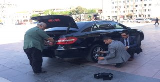 Manisa Valiliği Önünde Kedi Seferberliği