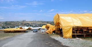 Kurbanlık Alırken Dikkat Edilmesi Gereken Hususlar