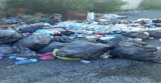 Sorumsuzlar Kirletiyor Ergene Belediyesi Temizliyor