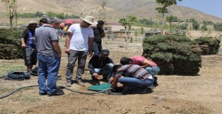 Mesire Alanında Çimlendirme Çalışması