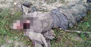 Pkknın Sözde Karadeniz Lideri ‘Türk Tarık Etkisiz Hale Getirildi