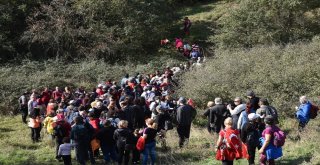 Cumhuriyet Bayramını Doğa Yürüyüşü İle Kutladı